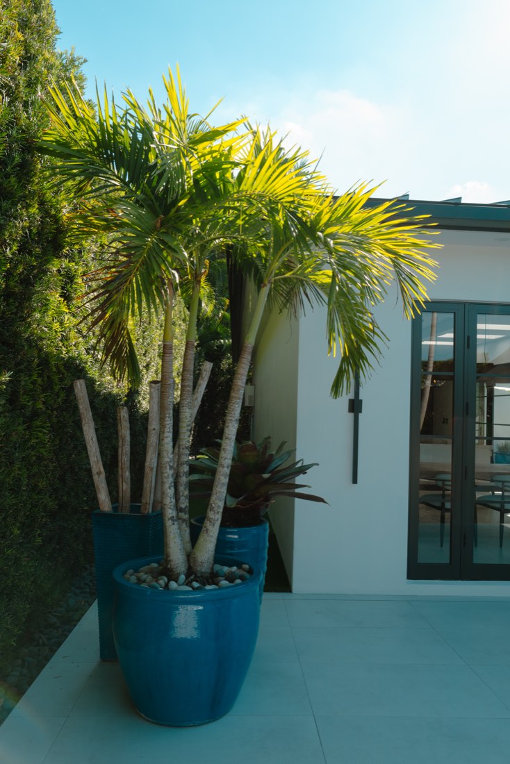 Motel — backyard gazebo